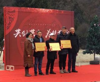 三江國際麗城項目喜獲“2016年度最佳合作伙